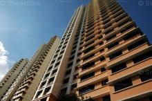 Blk 17 Cantonment Towers (Bukit Merah), HDB 4 Rooms #150902